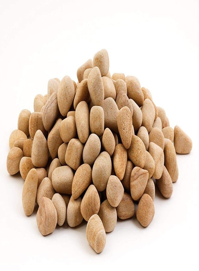 VANNEF Stone Decorative Pure Natural Brown Stones Pebbles for Home & Garden Decoration (Natural Brown, 450gm) - Image 2